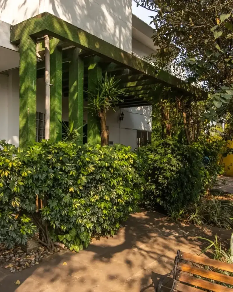 Pergolado verde coberto por plantas ao lado do edifício anexo