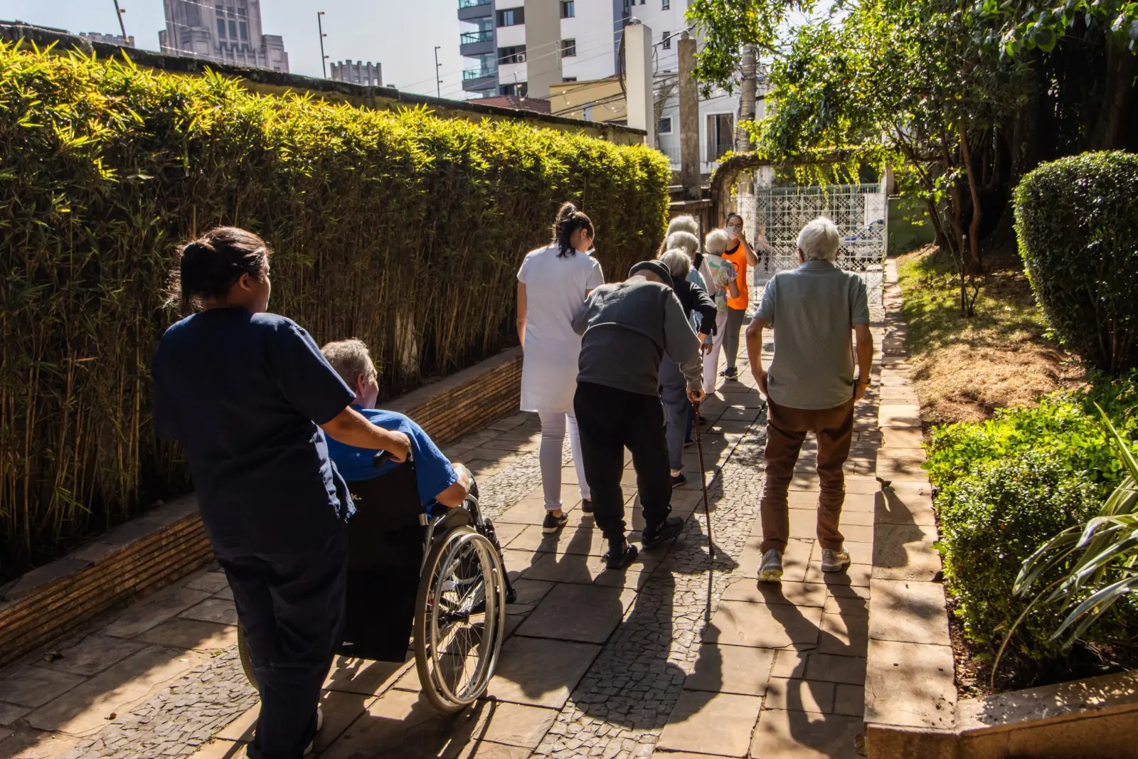 Cuidadoras acompanham residentes em caminhada pelo jardim da Mental Sênior, uma delas em cadeira de rodas